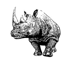 Rhino vector ilustration line art design 