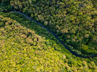 A mesmerizing aerial drone view flying above a dense green forest with rocky cliffs and a hidden river Veleka in Strandzha National Park, Bulgaria, capturing the untouched beauty of nature