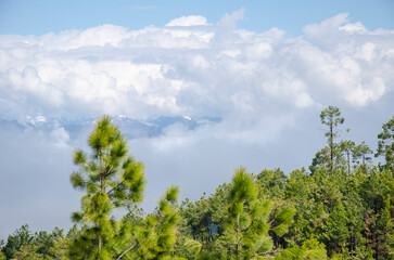 Obraz premium Himalayas mountain range, Spectacular and Mesmerizing landscape, view of the mystical land of Kumaun, near Munsiyari, Pithoragarh, Uttarakhand, India. Background, cover, copy space, soft focus