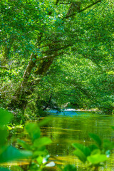 La Rivi&egrave;re de l'Orbieu en Occitanie fran&ccedil;aise. Elle prend sa source dans les Corbi&egrave;res audoises.