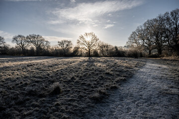 English countryside meadow in the winter