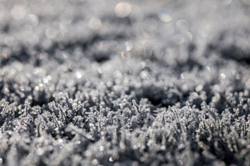 English countryside meadow in the winter