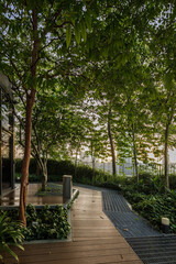 Foliage covered walkway in the backlane. Green city concept. Township planning.