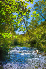 La Rivi&egrave;re de l'Orbieu en Occitanie fran&ccedil;aise. Elle prend sa source dans les Corbi&egrave;res audoises.