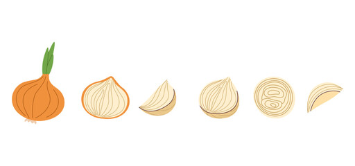 Vector illustration of whole onions and sliced pieces, perfect for food packaging and recipe designs