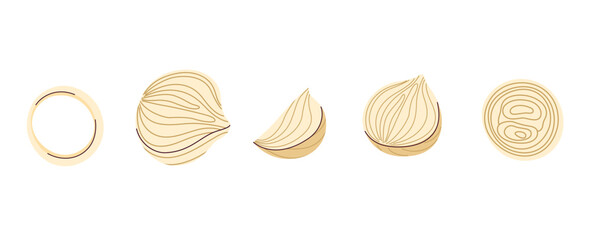 Vector of onions, halves, and rings, perfect for recipe books, menus, and food product designs