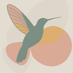 a hummingbird in flight. The hummingbird is in mid-flight, with its wings spread wide and its body slightly tilted upwards silhouette