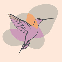 a hummingbird in flight. The hummingbird is in mid-flight, with its wings spread wide and its body slightly tilted upwards silhouette