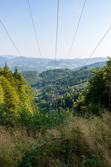 R&eacute;seau &eacute;lectrique rural traversant la for&ecirc;t, massif des Vosges, r&eacute;gion Grand Est, France