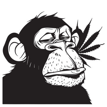 cool funny chimpanzee monkey gorilla smoking weed intoxicated character cartoon black and white vector tattoo style silhouette stylish for tee shirt printing fashion