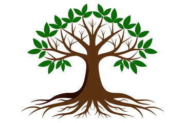 Fototapeta premium simple and modern trees natural logo illustration , Oak tree vector isolated on white background. Nature or forest symbol icon. 