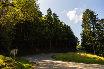 Boucle routière dans le cadre naturel des forêts des Vosges, Alsace, France