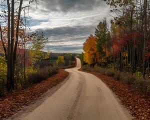 Obraz premium Road in autumn forest