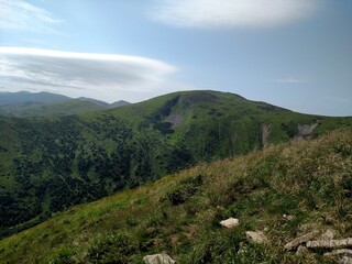Mountain landscape and forest horizontal color photo image