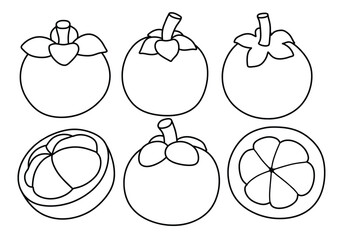 Hand drawn Outline black Mangosteen. doodle fruits set white doodle style.