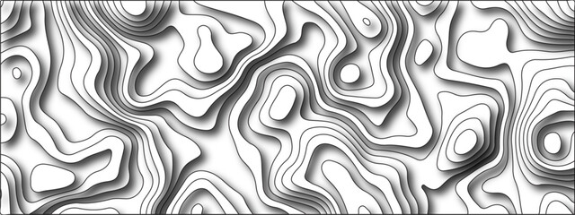 Fototapeta premium White background topography contour map with black curve lines. Modern design with White background with topographic wavy pattern design. Geographic mountain relief.