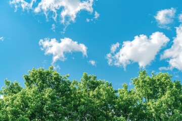 Obraz premium Sky Line. Green Tree Line Silhouette against Blue Sky with Clouds for Summer Landscape
