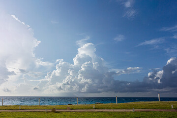 Nuves sobre el mar con pasto.