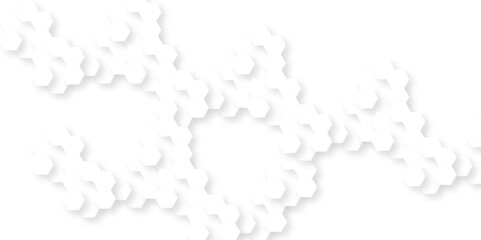 Background with hexagons . Abstract background with lines . white texture background . hexagon abstract background. Surface polygon pattern with glowing hexagon paper texture and futuristic business.