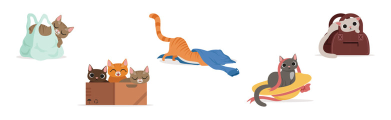 Playful Cat as Fluffy Feline with Cute Snout at Home Vector Set