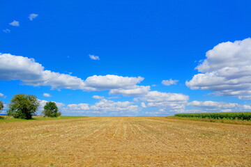 Feld mit blauem Himmel und Wolken