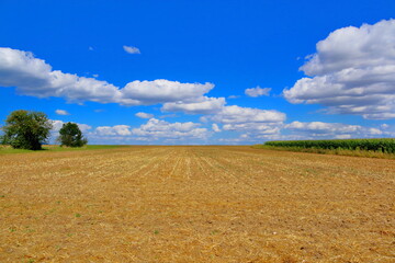 Feld mit blauem Himmel und Wolken