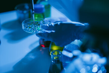 scientist researcher conducting an experiment working in the chemical laboratory.