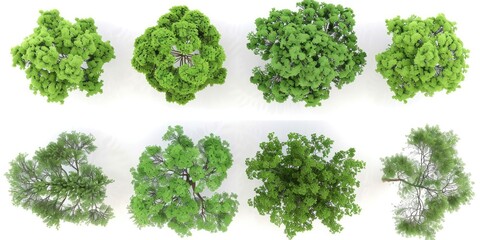 Tree Design. 3D Top View Green Trees Collection for Architectural Visualization and Garden Decoration