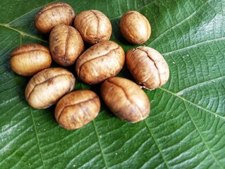 Coffee beans on a green leaf and shining beautifully