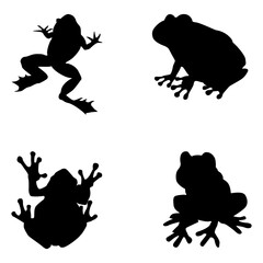  frog silhouette on white background