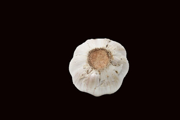 Garlic bulb isolated on a black background. close up