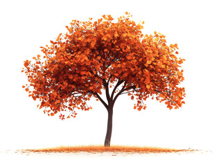 A tree with vibrant orange leaves in autumn.


