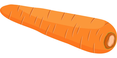 Vegetable, Carrot, Illustration Hand drawn
