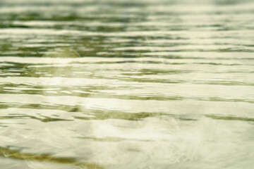 The swamp water is calm and still, with ripples forming on the surface. The image is a scary and creepy scene