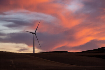 Molino eólico al atardecer