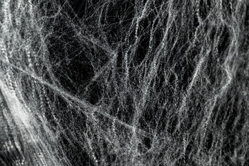 Spooky creepy cobweb spiders web covered a black background. Abstract halloween background.
