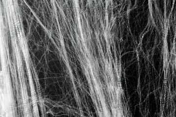 Spooky creepy cobweb spiders web covered a black background. Abstract halloween background.