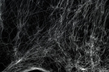 Spooky creepy cobweb spiders web covered a black background. Abstract halloween background.