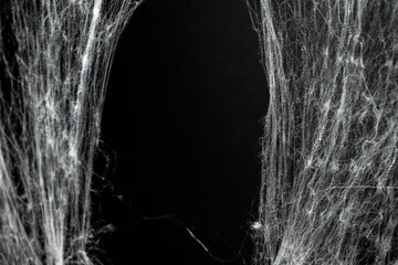 Spooky creepy cobweb spiders web covered a black background. Abstract halloween background.