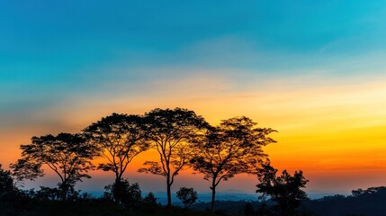 Obraz premium Silhouette of trees against a colorful sunset sky.