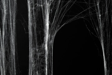 Spooky creepy cobweb spiders web covered a black background. Abstract halloween background.