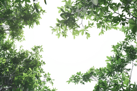 The PNG file presents a captivating view with the camera directed upwards through a canopy of lush green leaves, removing the sky to create a focused and immersive perspective of nature.
