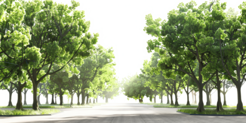 The PNG file displays a view within a park, featuring green trees with the background removed, providing a versatile element for designs requiring a natural outdoor environment.