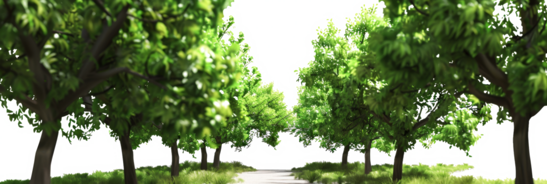 The image shows a path winding through a park, flanked by green trees on either side, with lush grass beneath them, all set against a bright, sunny day.