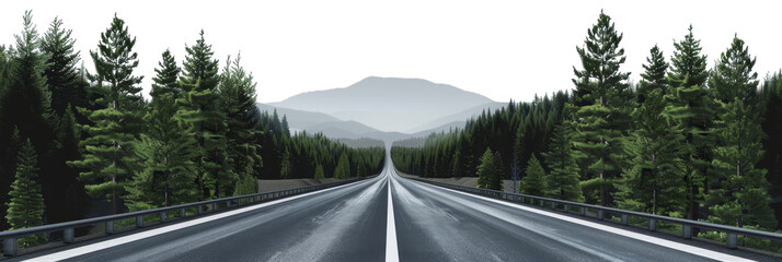 The image features a winter scene with a stretched road winding through a dense forest, and the background removed to isolate the tranquil landscape against a transparent backdrop.