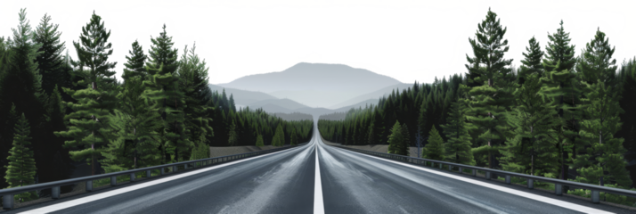 The image features a winter scene with a stretched road winding through a dense forest, and the background removed to isolate the tranquil landscape against a transparent backdrop.