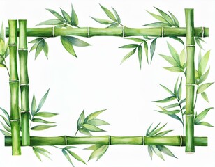 Naklejka premium Bamboo frame isolated on white background. Bamboo with green leaves. Hand painted watercolor illustration. Realistic botanical art. Template