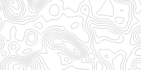 Abstract Topography map crave white wave doodle line topo map diagram relief line grid topo mountain background. geometric Line topography map contour background.	
