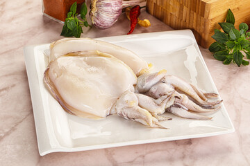 Raw fresh cuttlefish for cooking