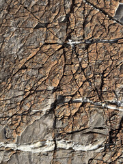 Macro shot of a rock texture.